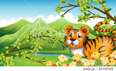 A tiger in the mountain near the flowing river 8349568