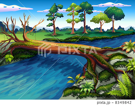 A tree with algae at the river 8349842