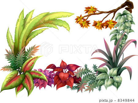 Leafy plants and a branch of a tree 8349844