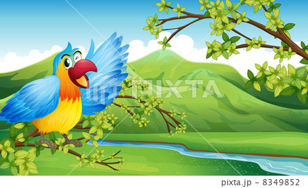 A big and colorful parrot near the river 8349852