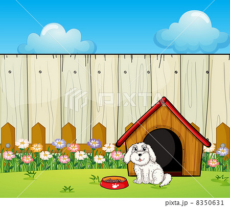 dog fence for inside house