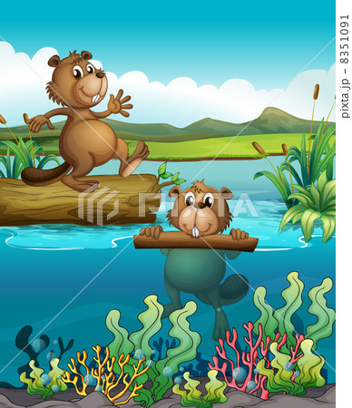 Two beavers at the deep river