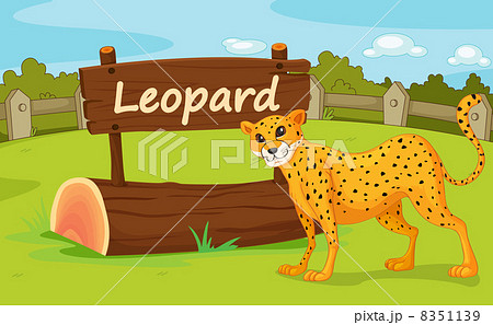 Zoo animal Zoo animal 8351139