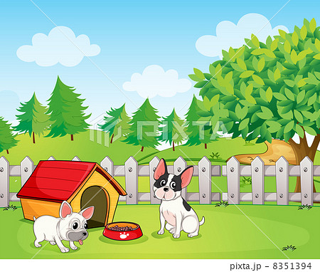A backyard with two dogs 8351394