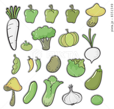 various vegetables various vegetables 8351549