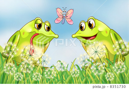 The two frogs and the butterfly The two frogs and the butterfly 8351730