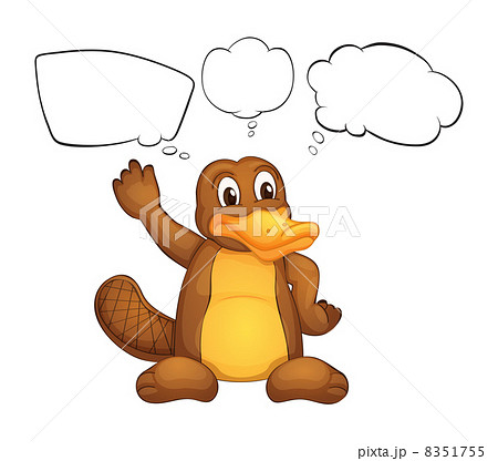 A platypus A platypus 8351755