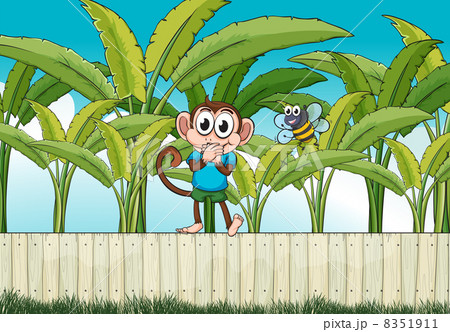 A monkey and a bee near the banana plants A monkey and a bee near the banana plants 8351911
