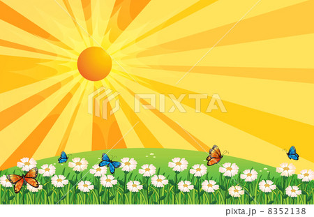 A sunset scenery with butterflies in the garden A sunset scenery with butterflies in the garden 8352138