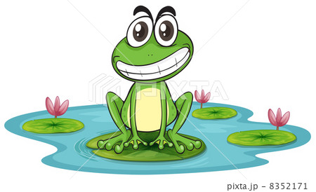 a frog and a water a frog and a water 8352171