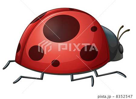 A ladybug 8352547