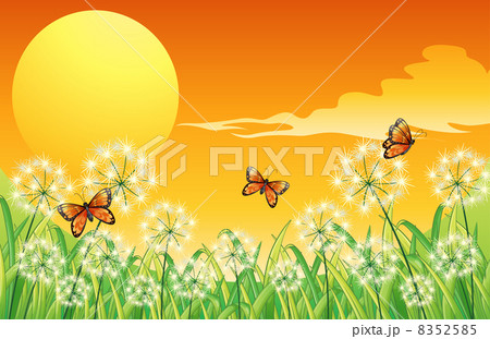 A sunset scenery with three orange butterflies 8352585