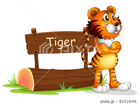 A tiger beside a wooden signboard A tiger beside a wooden signboard 8352646