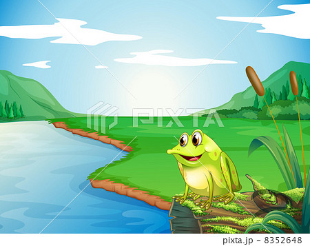A frog at the riverbank A frog at the riverbank 8352648