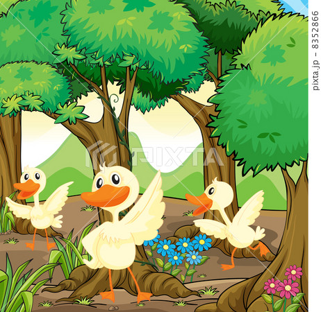 Three white ducks in the middle of the woods 8352866