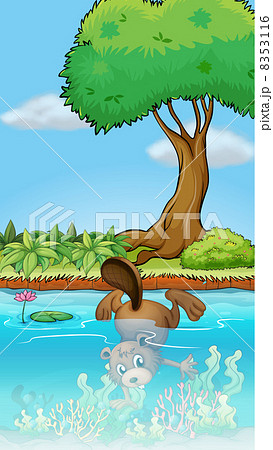 A beaver diving underwater A beaver diving underwater 8353116