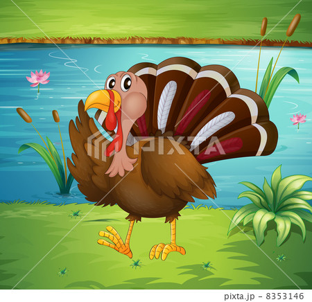 A turkey walking near the river A turkey walking near the river 8353146