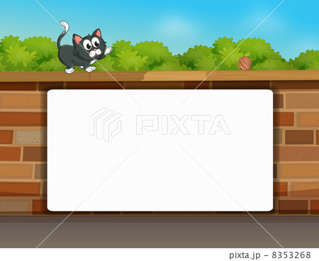 A cat and a white board A cat and a white board 8353268