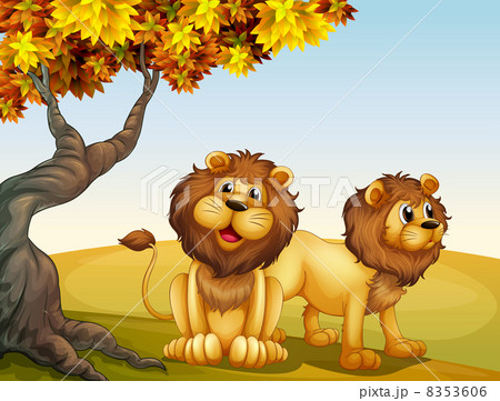 A big tree with two lions 8353606