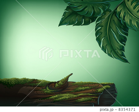 A trunk covered with algae A trunk covered with algae 8354371