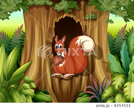 A squirrel in a hollow holding a nut 8354533