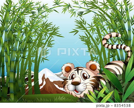 A tiger in a bamboo forest 8354538