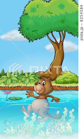 A swimming beaver 8354584