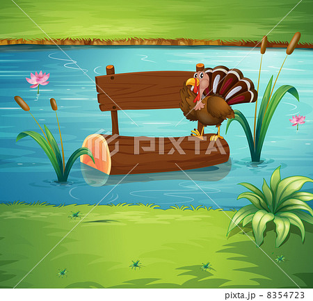 A turkey and an empty board floating A turkey and an empty board floating 8354723