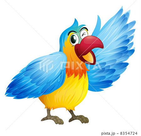 A smiling parrot A smiling parrot 8354724
