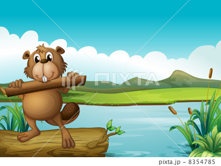 A beaver above a floating trunk holding a piece of wood 8354785