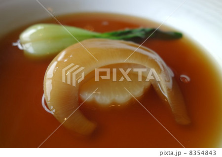フカヒレ2 8354843