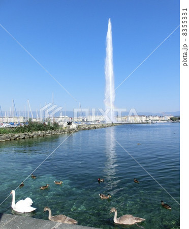 レマン湖のジェット噴水の写真素材