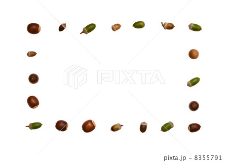 ドングリのフレーム 8355791