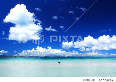 沖縄　海中道路から眺める海 8355843