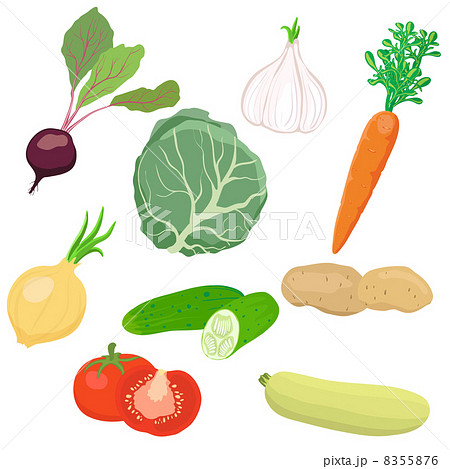 Vector vegetable set Vector vegetable set 8355876