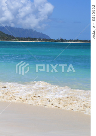 ハワイ　カイルアビーチ　Kailua Beach 8355952
