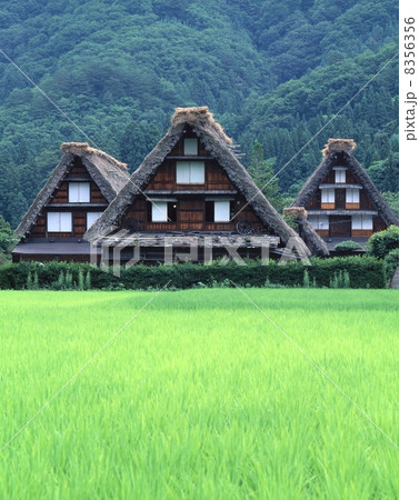 白川郷 8356356