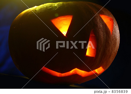 Halloween pumpkin 8356839