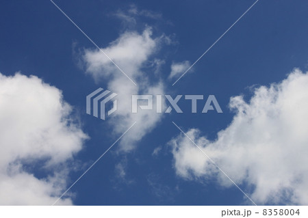 空 8358004