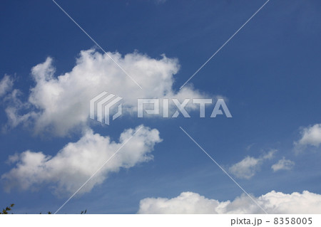 空 8358005