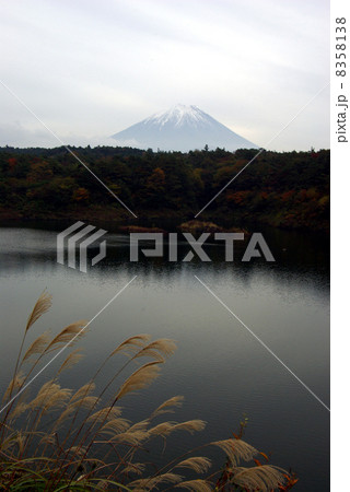 湖から眺める富士山 8358138