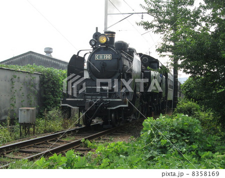 蒸気機関車の夏 蒸気機関車の夏 8358169
