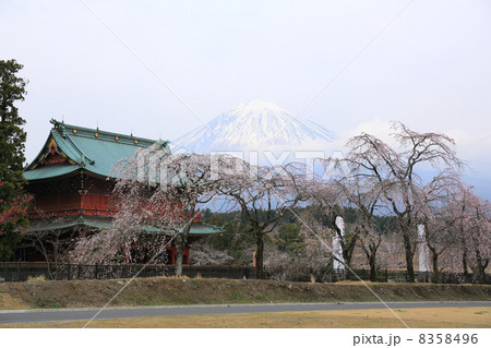 富士山と山門 8358496