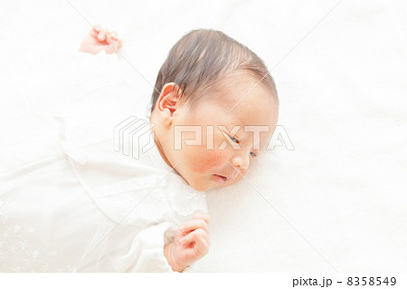 生後3週目 生後3週目 8358549