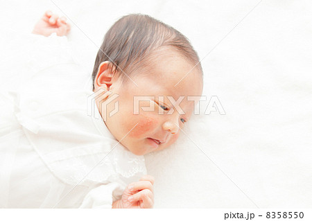 生後3週目 生後3週目 8358550