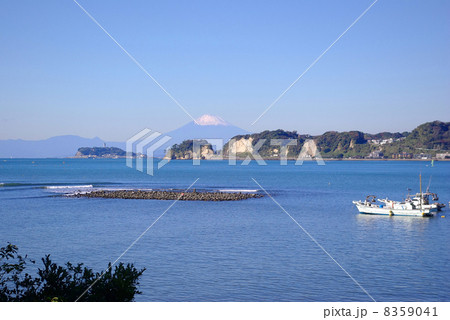鎌倉　材木座から撮った稲村ガ崎と江ノ島越しに見える11月の富士山 8359041