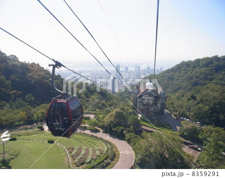布引ハーブ園 8359291