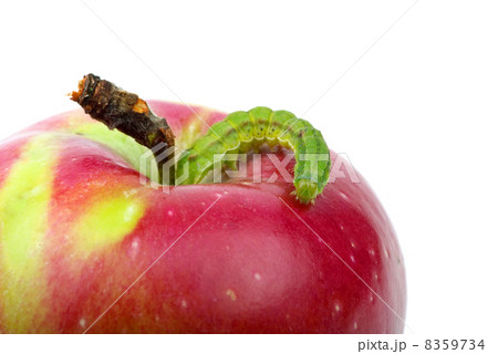 Big green worm crawling over red apple 8359734
