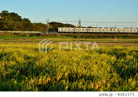 鉄道　私鉄・東武鉄道野田線 8361575
