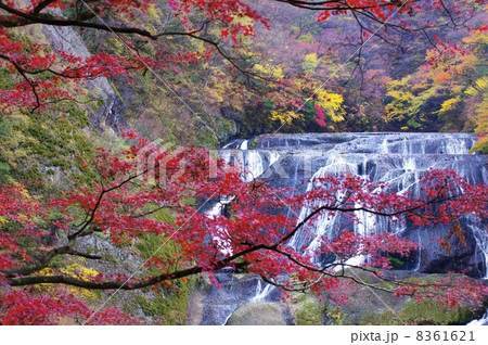 袋田の滝　紅葉 8361621